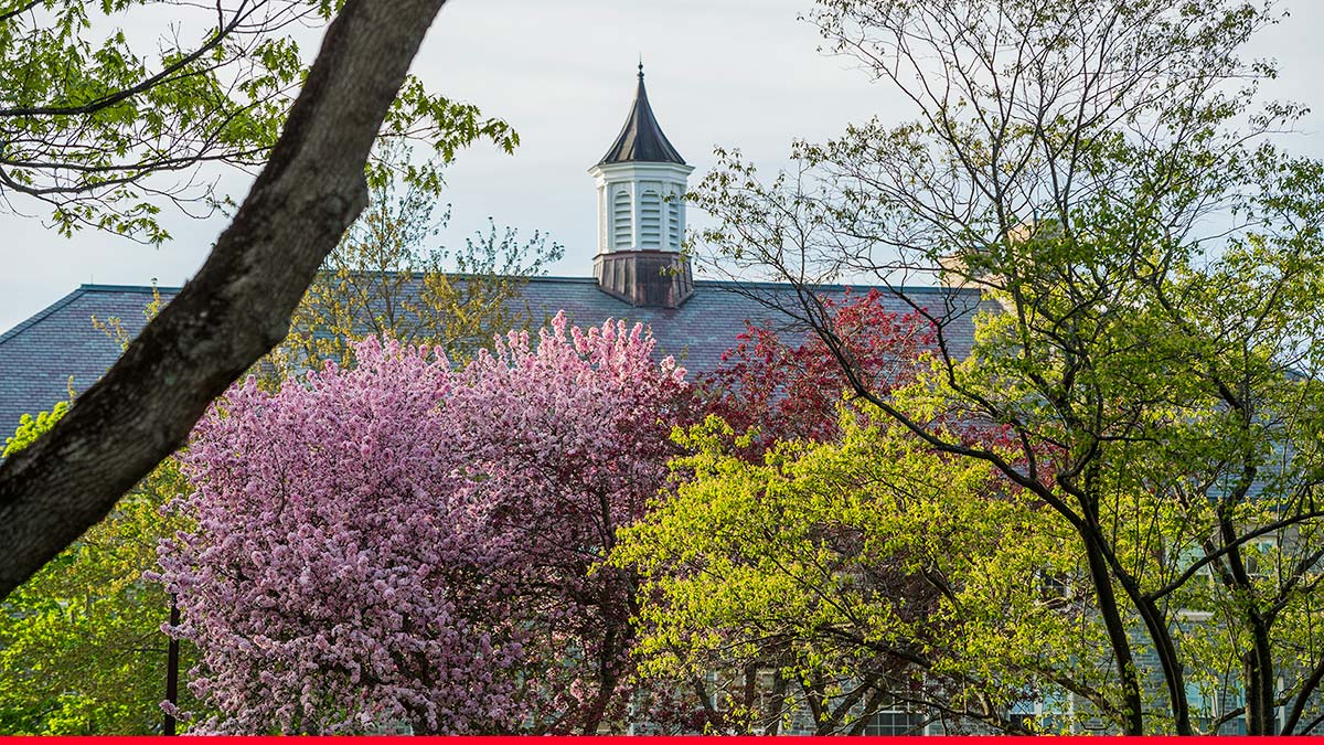 Spring scene at Colgate